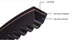 cấu tạo dây curoa cao su