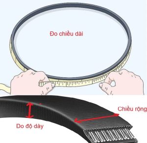 hướng dẫn cách đo dây curoa